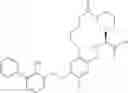Fig. 47 - Macrocyclic immunomodulators