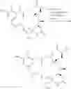 Fig. 24 - Diasteroselective process for the preparation of thiol- or disulfide-containing maytansinoid esters and intermediates thereof