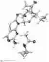 Fig. 08 - Solid forms of [(1S)-1-[(2S,4R,5R)-5-(5-amino-2-oxo-thiazolo[4,5-d]pyrimidin-3-yl)-4-hydroxy-tetrahydrofuran-2-yl]propyl] acetate