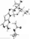 Fig. 01 - Solid forms of [(1S)-1-[(2S,4R,5R)-5-(5-amino-2-oxo-thiazolo[4,5-d]pyrimidin-3-yl)-4-hydroxy-tetrahydrofuran-2-yl]propyl] acetate