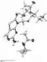 Fig. 08 - Solid forms of [(1S)-1-[(2S,4R,5R)-5-(5-amino-2-oxo-thiazolo[4,5-d]pyrimidin-3-yl)-4-hydroxy-tetrahydrofuran-2-yl]propyl] acetate