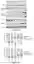 Fig. 16 - BIVALENT BROMODOMAIN INHIBITORS AND USES THEREOF