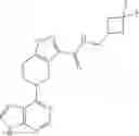 Fig. 121 - Bycyclic JAK inhibitors and uses thereof