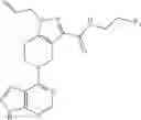 Fig. 41 - Bycyclic JAK inhibitors and uses thereof