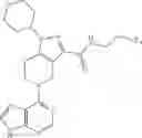 Fig. 46 - Bycyclic JAK inhibitors and uses thereof