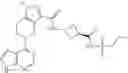 Fig. 55 - Bycyclic JAK inhibitors and uses thereof