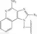 Fig. 13 - PHOSPHOLIPIDATION OF IMIDAZOQUINOLINES AND OXOADENINES