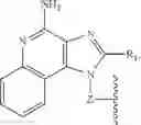 Fig. 40 - PHOSPHOLIPIDATION OF IMIDAZOQUINOLINES AND OXOADENINES