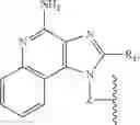 Fig. 43 - PHOSPHOLIPIDATION OF IMIDAZOQUINOLINES AND OXOADENINES