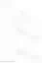 Fig. 59 - PHOSPHOLIPIDATION OF IMIDAZOQUINOLINES AND OXOADENINES