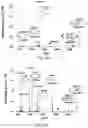 Fig. 23 - COMPOSITIONS OF MECHANICALLY INTERLOCKED, TOPOLOGICALLY COMPLEX CROSSLINKERS AND POLYMERS AND METHODS OF MAKING AND USING SAME