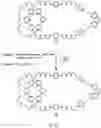Fig. 30 - COMPOSITIONS OF MECHANICALLY INTERLOCKED, TOPOLOGICALLY COMPLEX CROSSLINKERS AND POLYMERS AND METHODS OF MAKING AND USING SAME