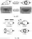 Fig. 35 - COMPOSITIONS OF MECHANICALLY INTERLOCKED, TOPOLOGICALLY COMPLEX CROSSLINKERS AND POLYMERS AND METHODS OF MAKING AND USING SAME