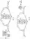 Fig. 45 - COMPOSITIONS OF MECHANICALLY INTERLOCKED, TOPOLOGICALLY COMPLEX CROSSLINKERS AND POLYMERS AND METHODS OF MAKING AND USING SAME