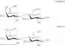 Fig. 08 - Synthesis of oligosaccharides