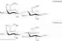 Fig. 09 - Synthesis of oligosaccharides