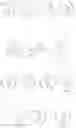 Fig. 28 - 5'-Cyclo-Phosphonate Modified Nucleotides
