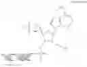 Fig. 53 - 5'-Cyclo-Phosphonate Modified Nucleotides