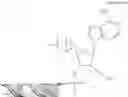 Fig. 54 - 5'-Cyclo-Phosphonate Modified Nucleotides