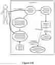 Fig. 08 - Methods and Devices for the Enrichment of Immunoglobulin from Blood