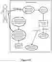 Fig. 09 - Methods and Devices for the Enrichment of Immunoglobulin from Blood