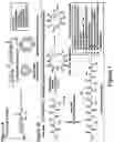 Fig. 02 - Synthetic cyclic peptides and methods of preparation and use thereof