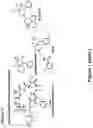Fig. 03 - Synthetic cyclic peptides and methods of preparation and use thereof