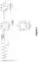 Fig. 06 - Synthetic cyclic peptides and methods of preparation and use thereof
