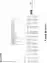 Fig. 118 - Synthetic cyclic peptides and methods of preparation and use thereof