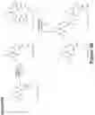 Fig. 125 - Synthetic cyclic peptides and methods of preparation and use thereof