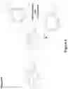 Fig. 17 - Synthetic cyclic peptides and methods of preparation and use thereof