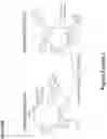 Fig. 18 - Synthetic cyclic peptides and methods of preparation and use thereof
