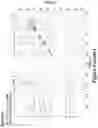 Fig. 21 - Synthetic cyclic peptides and methods of preparation and use thereof
