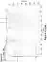 Fig. 23 - Synthetic cyclic peptides and methods of preparation and use thereof