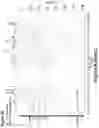 Fig. 31 - Synthetic cyclic peptides and methods of preparation and use thereof