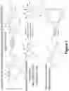 Fig. 36 - Synthetic cyclic peptides and methods of preparation and use thereof