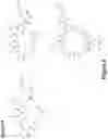 Fig. 38 - Synthetic cyclic peptides and methods of preparation and use thereof