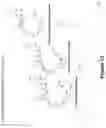 Fig. 56 - Synthetic cyclic peptides and methods of preparation and use thereof