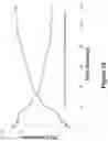 Fig. 58 - Synthetic cyclic peptides and methods of preparation and use thereof