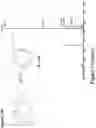 Fig. 74 - Synthetic cyclic peptides and methods of preparation and use thereof