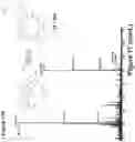 Fig. 77 - Synthetic cyclic peptides and methods of preparation and use thereof