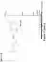 Fig. 78 - Synthetic cyclic peptides and methods of preparation and use thereof