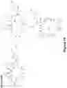 Fig. 88 - Synthetic cyclic peptides and methods of preparation and use thereof
