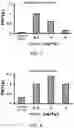 Fig. 05 - PEPTIDE AND FOR TREATING INFLAMMATORY DISEASE AND PAIN USING THE SAME