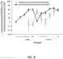 Fig. 06 - PEPTIDE AND FOR TREATING INFLAMMATORY DISEASE AND PAIN USING THE SAME