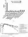 Fig. 03 - ARTIFICIAL RECOMBINANT PROTEIN FOR IMPROVING PERFORMANCE OF ACTIVE PROTEIN OR POLYPEPTIDE AND USE THEREOF