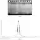 Fig. 04 - ARTIFICIAL RECOMBINANT PROTEIN FOR IMPROVING PERFORMANCE OF ACTIVE PROTEIN OR POLYPEPTIDE AND USE THEREOF