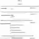 Fig. 11 - ULTRA-PURE AGONISTS OF GUANYLATE CYCLASE C, METHOD OF MAKING AND USING SAME