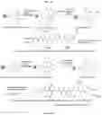 Fig. 15 - ULTRA-PURE AGONISTS OF GUANYLATE CYCLASE C, METHOD OF MAKING AND USING SAME