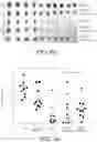 Fig. 24 - Polypeptides and compositions comprising the same